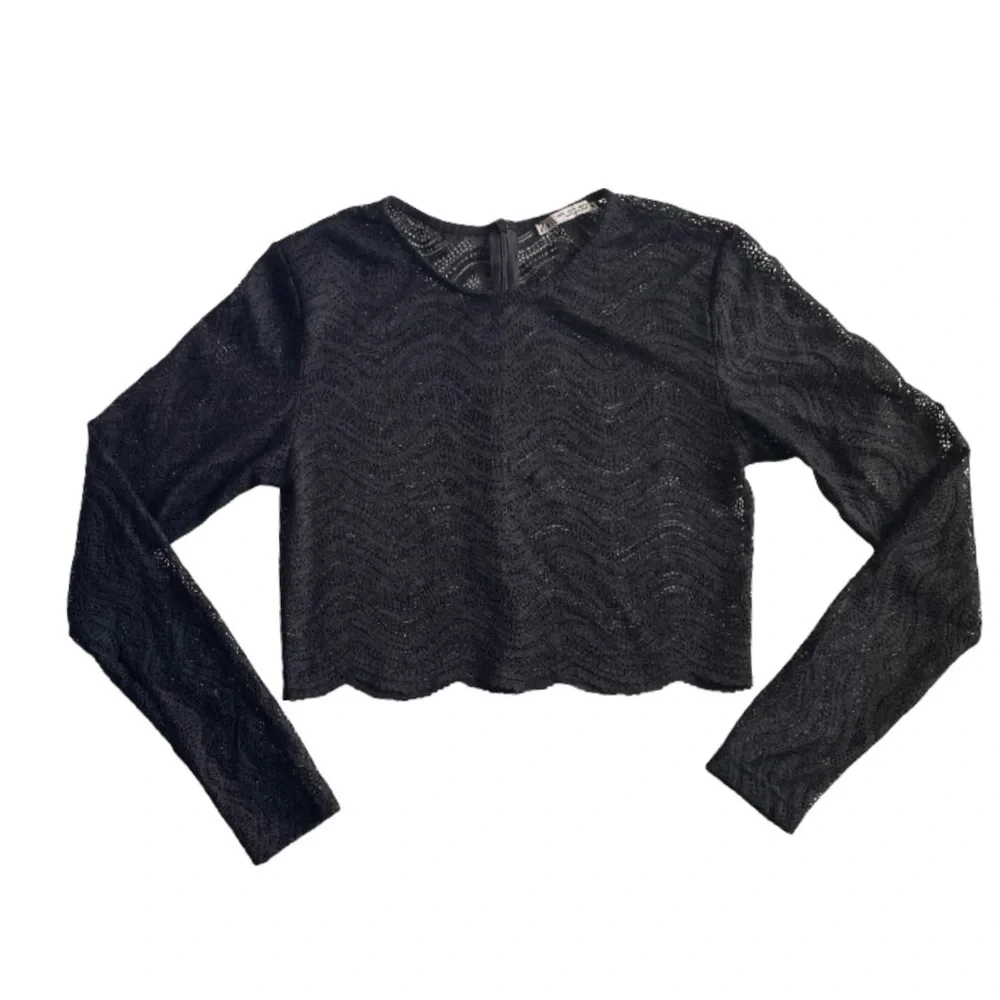 Zara Sheer Lace Long Sleeve Crop Top NEW